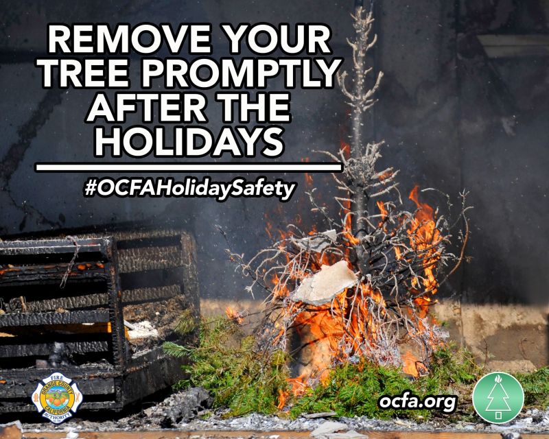 Image for the Tweet beginning: A dry, unwatered tree can