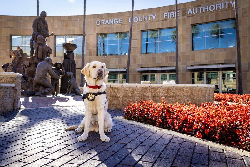 Image for the Tweet beginning: Irvine - We are excited