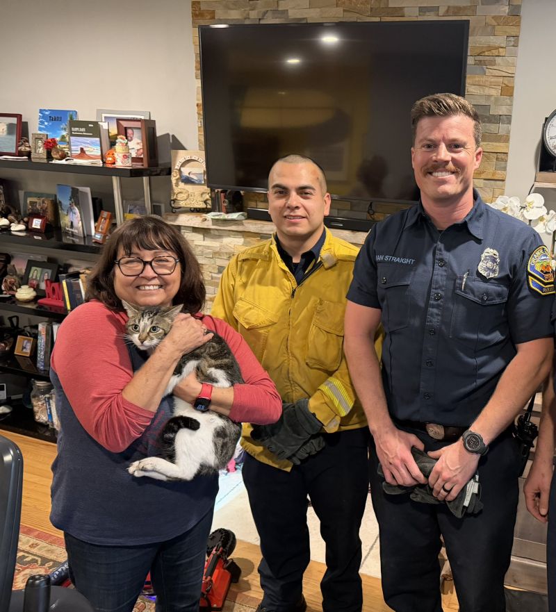 Image for the Tweet beginning: 🐾 A Purr-fect Rescue in