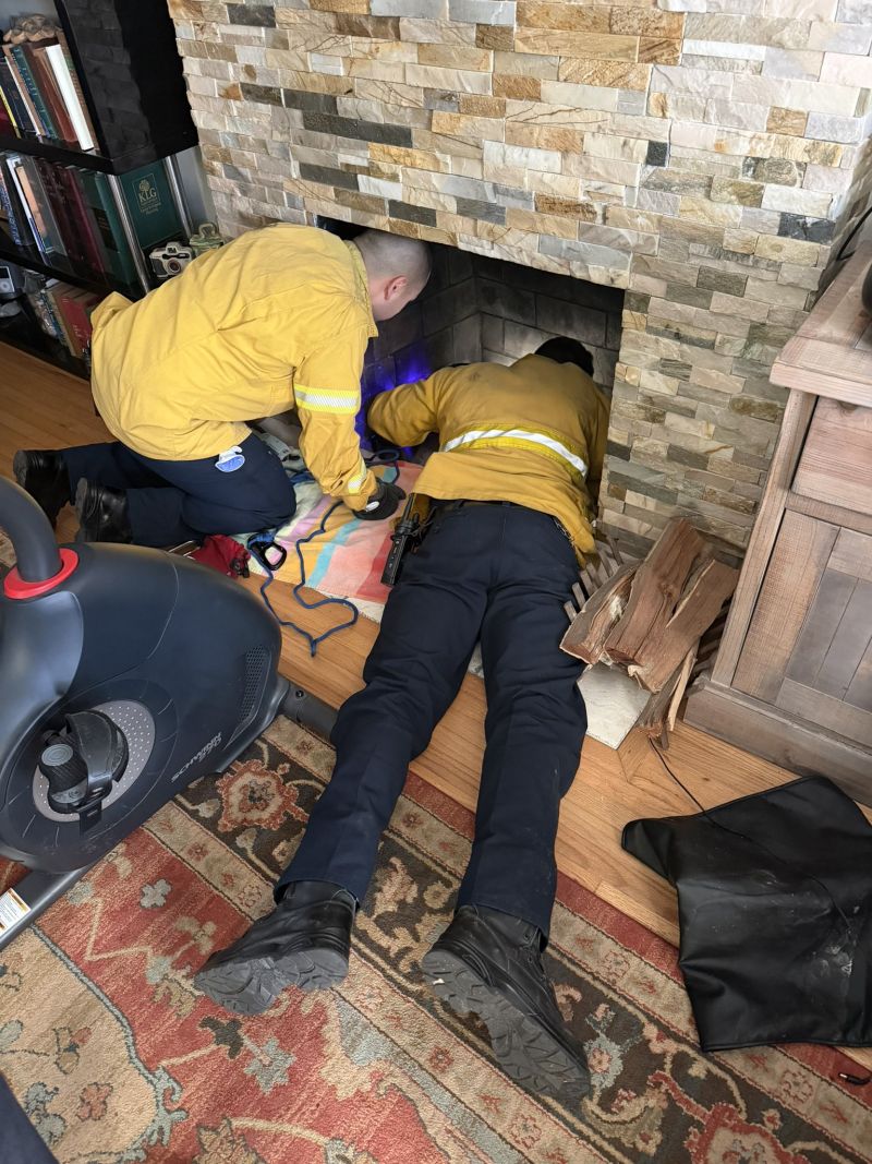 Image for the Tweet beginning: 🐾 A Purr-fect Rescue in