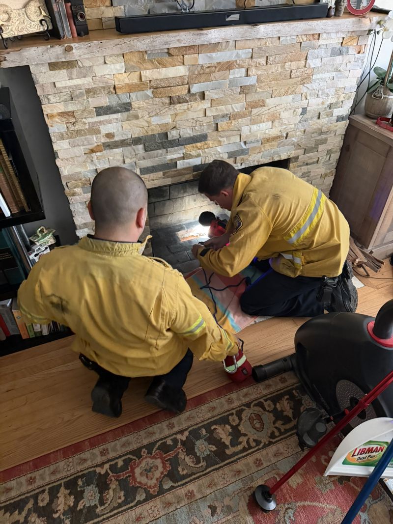 Image for the Tweet beginning: 🐾 A Purr-fect Rescue in