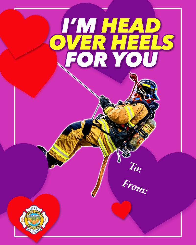 Image for the Tweet beginning: Roses are red, violets are