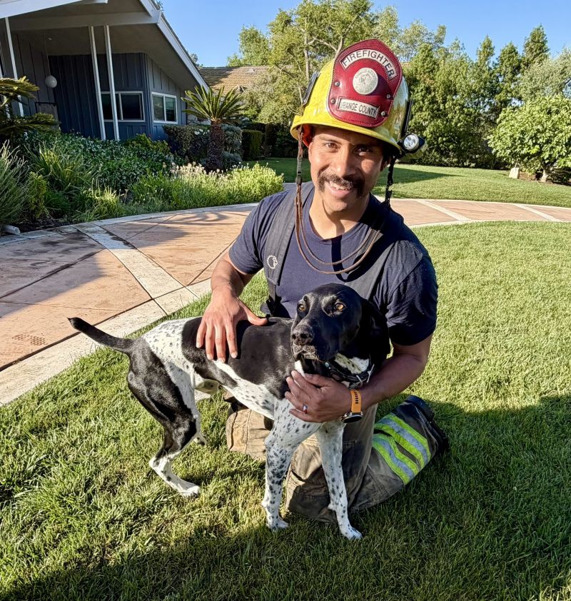 Image for the Tweet beginning: Give this dog an award!

At